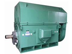 白鹭湖管理区Y系列6KV高压电机