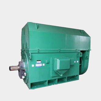 白鹭湖管理区Y7104-4、4500KW方箱式高压电机标准